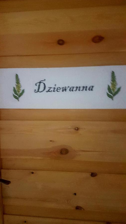 شقة Dziewanna Brzeziniec المظهر الخارجي الصورة
